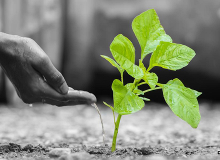 ISO 14001:2015